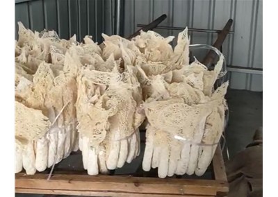 選購(gòu)筍干烘干機(jī)要注意什么事項(xiàng)